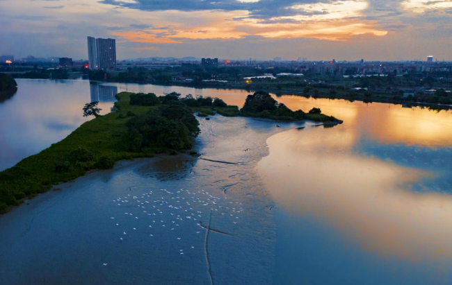 1.流溪河江景.png